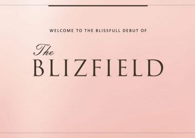 The Blizfield