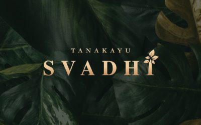 Svadhi Cluster Terbaru Tanakayu @BSD City